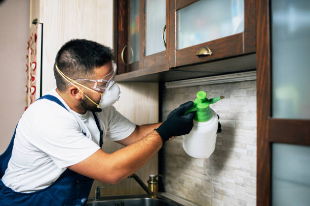 Best Bed Bug Extermination  in Smithfield, VA