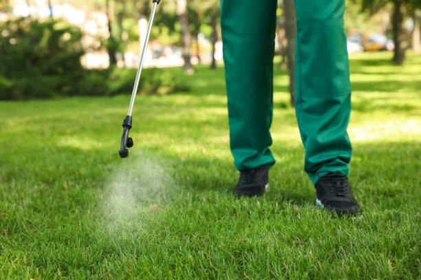 Best Wasp Removal Services  in Smithfield, VA