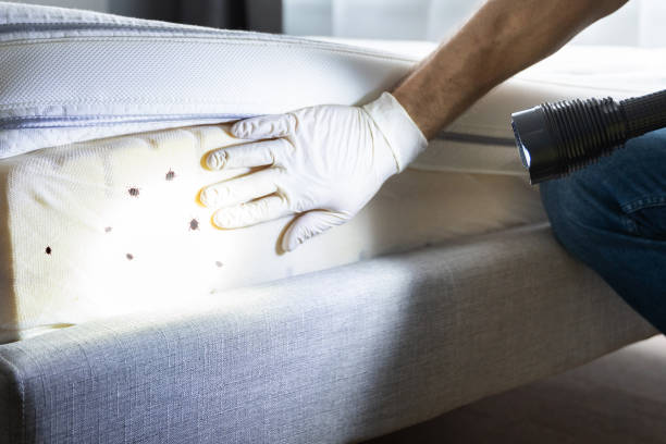 Best Emergency Pest Control  in Smithfield, VA