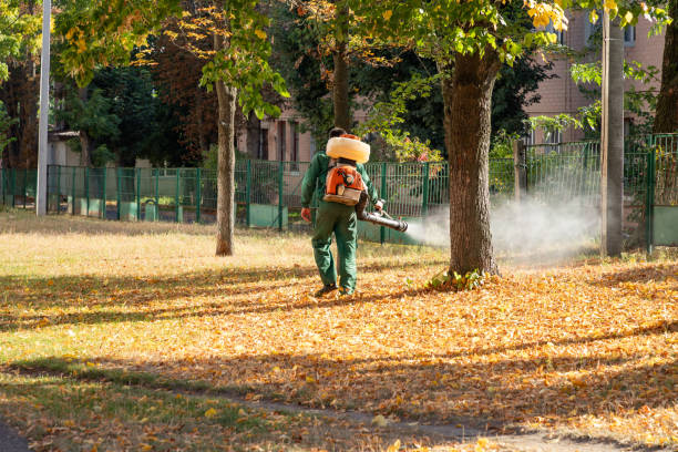 Insect Control in Smithfield, VA