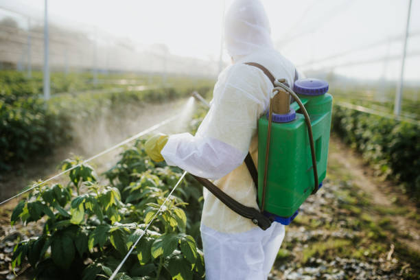 Best Termite Control Services  in Smithfield, VA